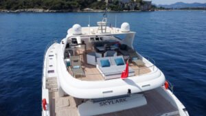Skylark — 5